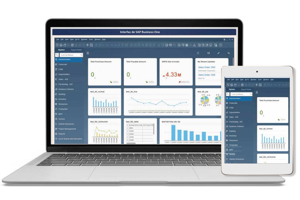 SAP Business One